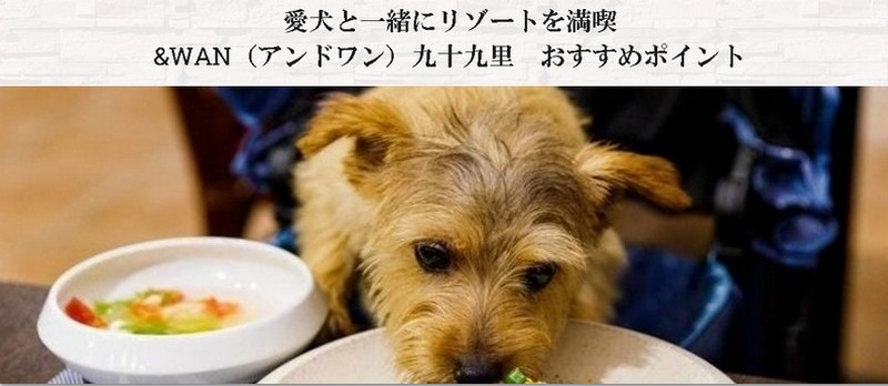 �����ƈꏏ�Ƀ��]�[�g�C���𖞋i���Ă݂܂��񂩁H�y��WAN ��\�㗢�z���T�C�g